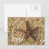 Carte Postale Cebu Philippines Starfish Brown (Devant / Derrière)