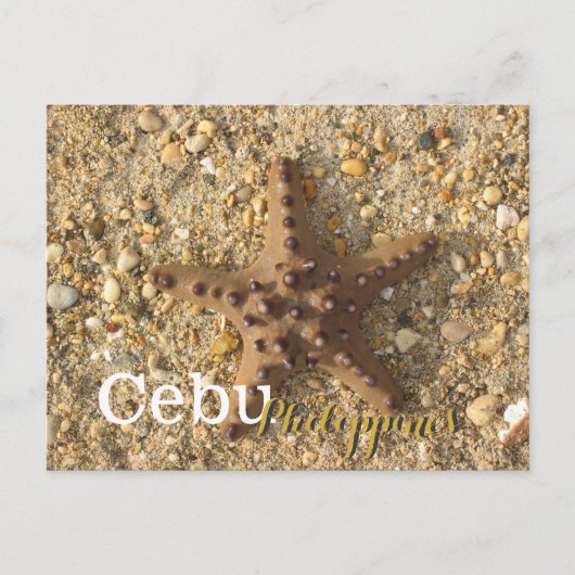 Carte Postale Cebu Philippines Starfish Brown (Devant)