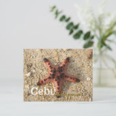Carte Postale Cebu Philippines Tiger Starfish (Debout devant)