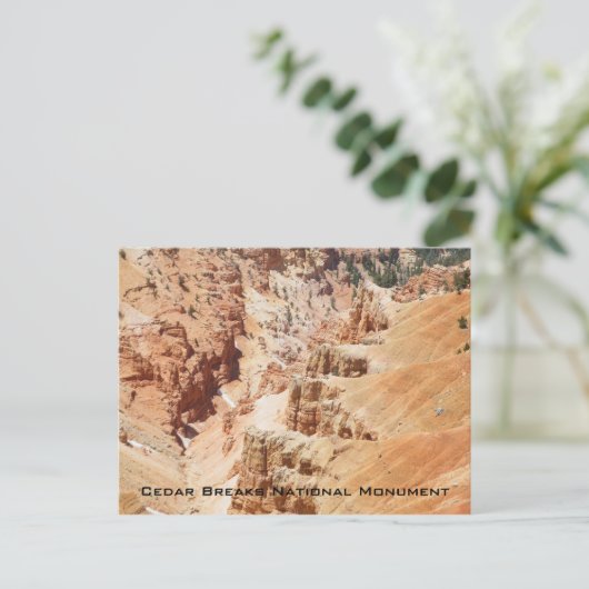 Carte Postale Cedar Breaks Monument National (Debout devant)