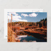 Carte Postale Cedar Breaks National Area, Utah (Devant / Derrière)