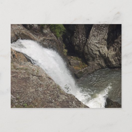 Carte Postale Cedar Creek Falls (Devant)