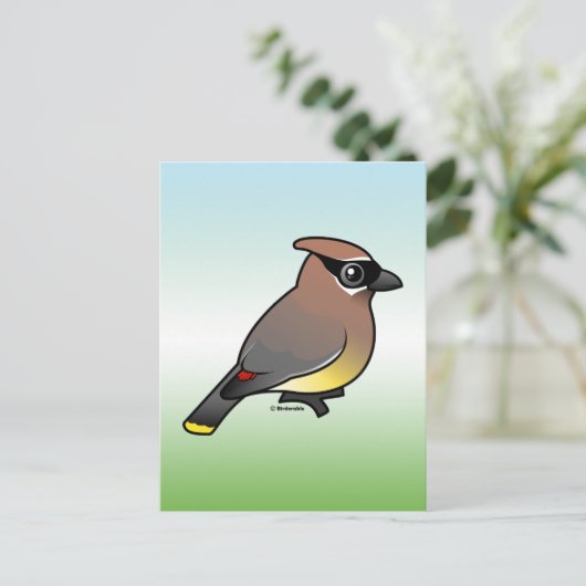 Carte Postale Cèdre (Debout devant)