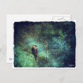 Carte Postale Cèdre (Devant / Derrière)