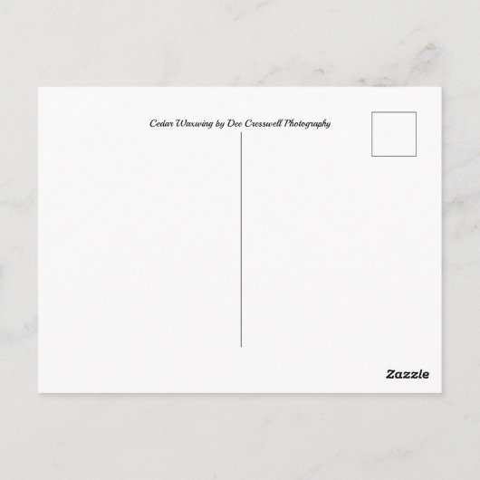 Carte Postale Cèdre (Dos)