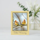 Carte Postale Cèdre - Photographie originale (Debout devant)