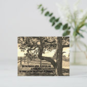 Carte Postale Cèdres du Liban Bible Verse Psaume 91:12 (Debout devant)