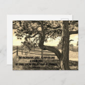 Carte Postale Cèdres du Liban Bible Verse Psaume 91:12 (Devant / Derrière)