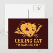 Carte Postale Ceiling Cat vous regarde (Devant / Derrière)