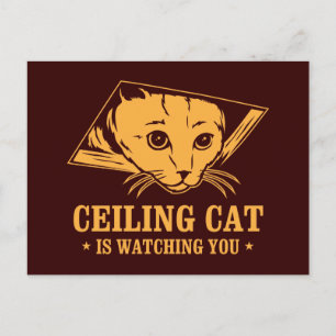 Carte Postale Ceiling Cat vous regarde