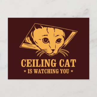Carte Postale Ceiling Cat vous regarde