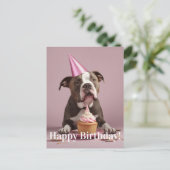 Carte Postale Célébration de l'anniversaire des Pit Bull (Debout devant)