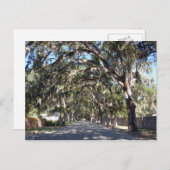 Carte Postale célèbre avenue magnolia saint augustine floride us (Devant / Derrière)