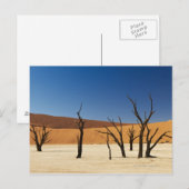 Carte Postale célèbre Deadvlei avec arbres morts, désert 3 (Devant / Derrière)