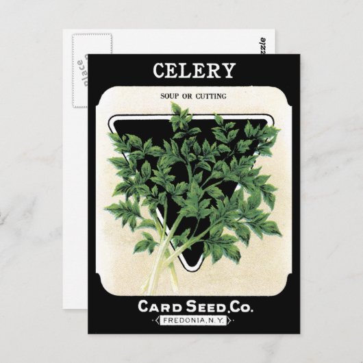 Carte Postale Célery Seed Packet vert Black Vegetable Garden (Devant / Derrière)