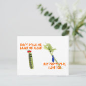 Carte Postale Celery Stalker & Jolies Peas (Debout devant)