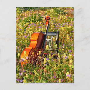 Carte Postale Cello with chaise in a field of wildflowers