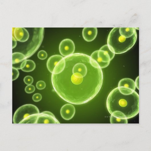 Carte Postale Cells 2 (Devant)