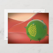 Carte Postale Cellule De Tueur Du Système Immunitaire Inné (Devant / Derrière)