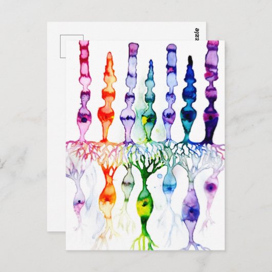 Carte Postale Cellules cônes cellules tiges et neurone bipolaire (Devant / Derrière)