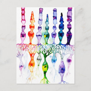 Carte Postale Cellules cônes cellules tiges et neurone bipolaire