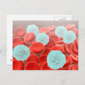 Carte Postale Cellules de sang rouge avec cellules de sang blanc (Devant / Derrière)