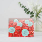 Carte Postale Cellules de sang rouge avec cellules de sang blanc (Debout devant)