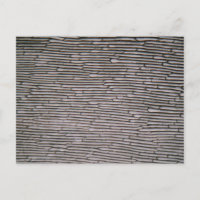 Cellules épidermiques d'oignon à fente sous micros