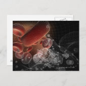 Carte Postale Cellules rouges dans le filaire (Devant / Derrière)