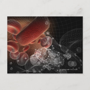 Carte Postale Cellules rouges dans le filaire
