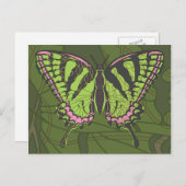Carte postale Celtic Swallowtail (Devant / Derrière)
