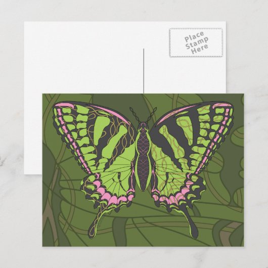 Carte postale Celtic Swallowtail (Devant / Derrière)