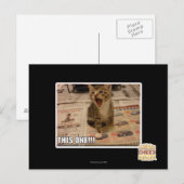 Carte Postale Celui-là ! (Devant / Derrière)