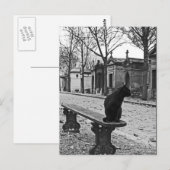 Carte postale Cemetery Cat Photographie Vintage (Devant / Derrière)