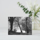 Carte Postale Cemscape (Debout devant)