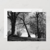 Carte Postale Cemscape (Devant / Derrière)