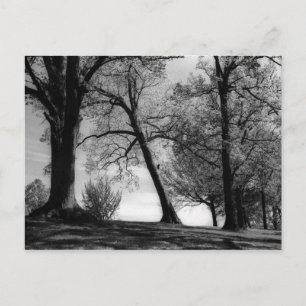 Carte Postale Cemscape