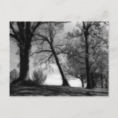 Carte Postale Cemscape (Devant)