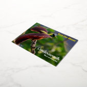 Carte postale Cenderawasih (Rotation)