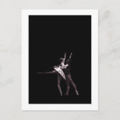 Carte Postale Cendrillon (Devant)