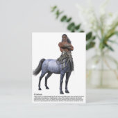 Carte Postale Centaur (Debout devant)