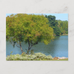 Carte Postale Centennial Lake in Ellicott City Maryland