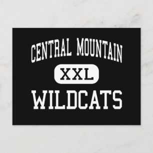 Carte Postale Central Mountain - Wildcats - High - Mill Hall