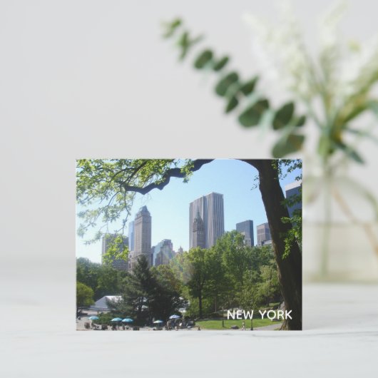 Carte postale Central Park (Debout devant)