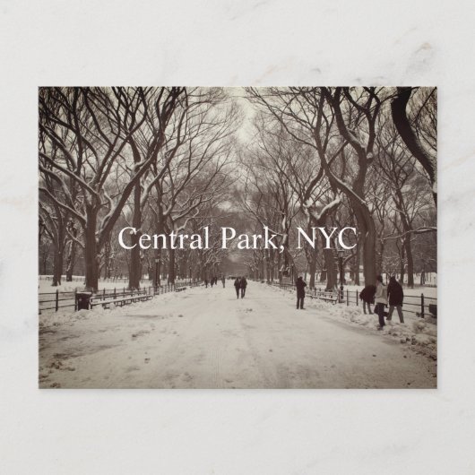Carte postale Central Park (Devant)