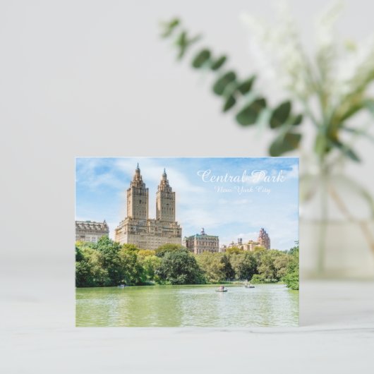 Carte Postale Central Park (Debout devant)