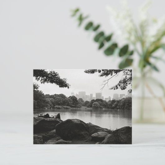 Carte postale Central Park (Debout devant)