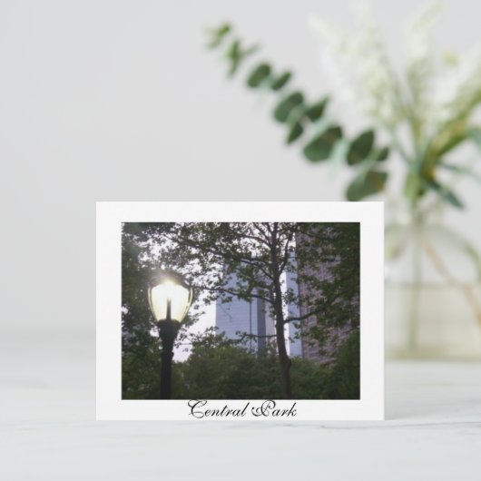 Carte Postale Central Park (Debout devant)