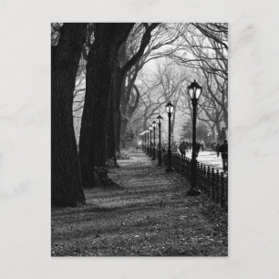 Carte Postale Central Park à New York
