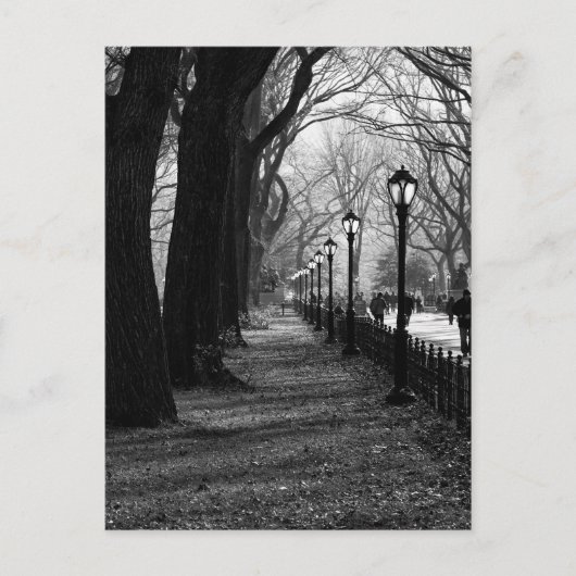 Carte Postale Central Park à New York (Devant)